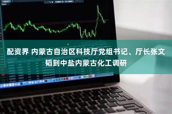 配资界 内蒙古自治区科技厅党组书记、厅长张文韬到中盐内蒙古化工调研