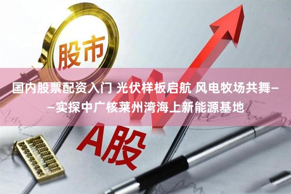 国内股票配资入门 光伏样板启航 风电牧场共舞——实探中广核莱州湾海上新能源基地