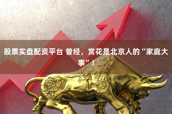 股票实盘配资平台 曾经，赏花是北京人的“家庭大事”！